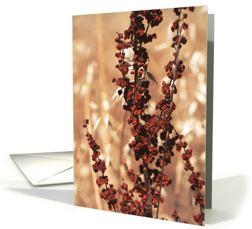 Weeds can be beautiful card (680712)