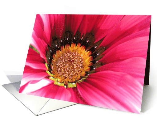 Lovely in Pink card (825305)