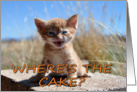 Where’s the cake? card