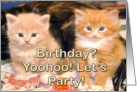 Birthday? yoohoo let’s party card