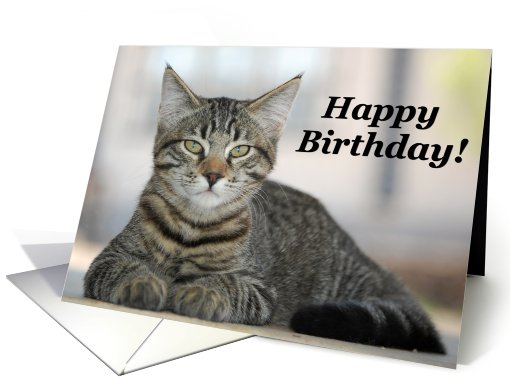 Happy Birthday Tabby Cat! card (466332)