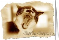 Charlie Chapman...