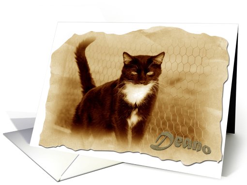 Deano/Frontier/Blank card (482988)