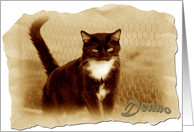 Deano/Frontier/Blank card