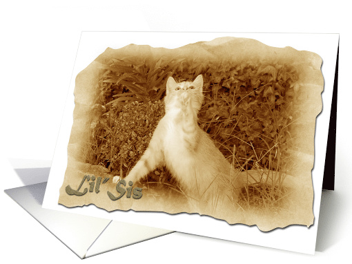 Lil' Sis/Frontier/Blank card (482991)