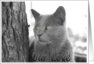 Chatterbox/Love card