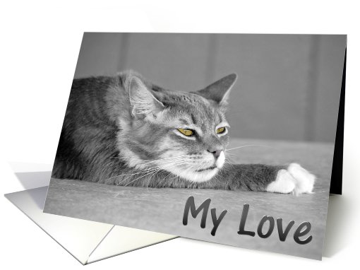 Shaine/Love card (490484)
