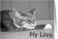 Shaine/Love card