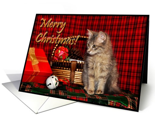 Christmas Kitten card (517364)