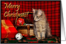 Christmas Kitten card