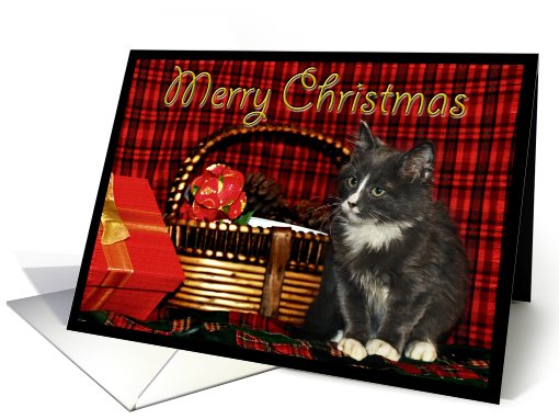 Christmas Kitten card (517366)