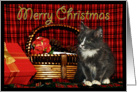 Christmas Kitten card