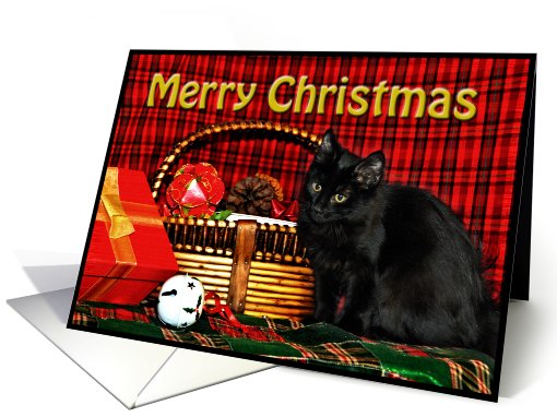 Christmas Kitten card (517372)