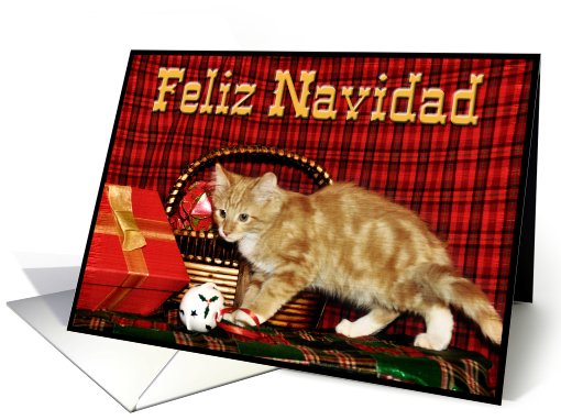 Christmas Kitten card (517376)