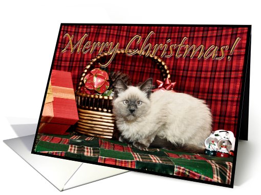 Christmas Kitten card (517388)