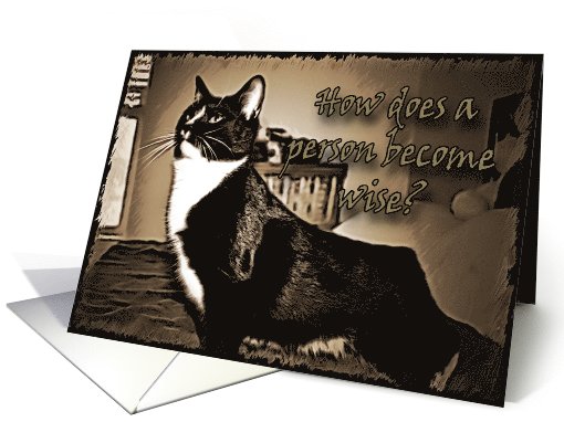 Ritz card (590580)