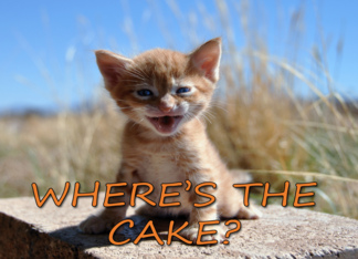 Where's the cake?