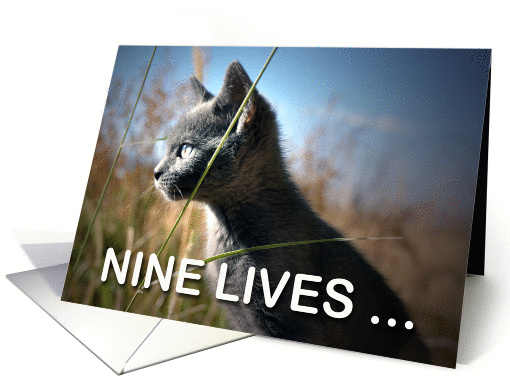 Nine Lives card (851643)