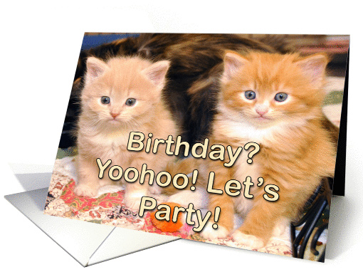 Birthday? yoohoo let's party card (851646)