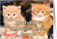 Birthday? yoohoo let...
