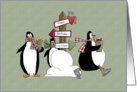 Husband Birthday - Penguins card