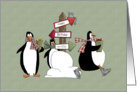 Birthday - Penguins card