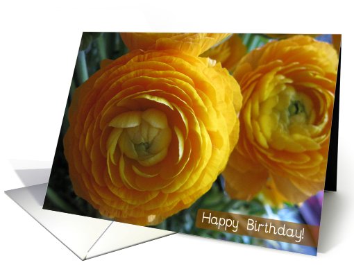 Birthday Flowers card (467077)
