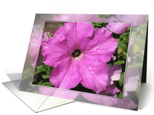 Flower with glistening water droplets, encouragement card (470300)