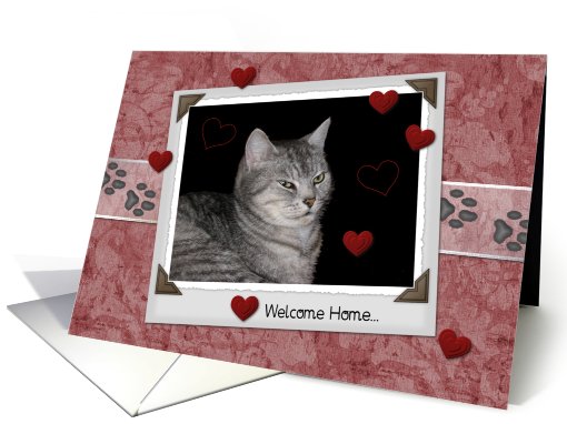 Welcome from Pet card (481970)