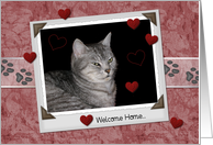 Welcome from Pet card