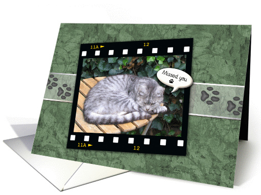 Welcome from Pet card (481972)
