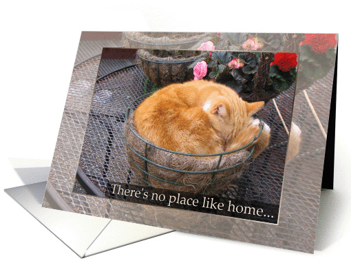 Welcome from Cat card (483319)