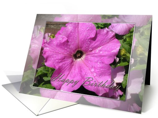 Happy Birthday card (502475)