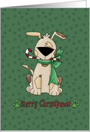 Merry Christpaws Dog with bow and candy card