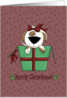 Merry Christpaws Dog with bow in giftbox card