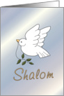 Happy Passover, peace dove card