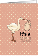 It's A Girl, Stork...