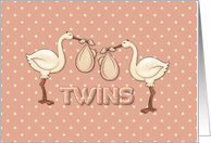 New Baby, Twin Girls card