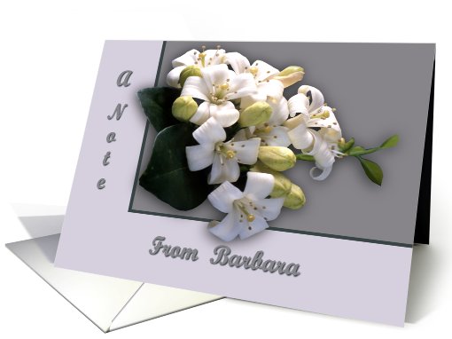 White Blossom card (465747)