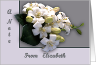 White Blossom card