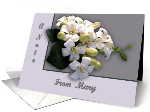 White Blossom card (465781)