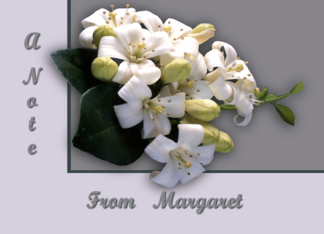 White Blossom Greeting Card