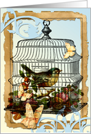 Song Bird card