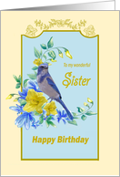 Birthday sister,...