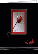 Love, Red Rose