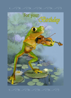 Birthday, Frog with...