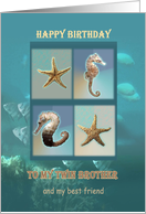 Birthday, twin brother from twin sister, Undersea card