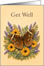 Get Well Buckeye Butterfly Among Yellow and Purple Flowers card