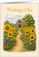 Thinking of You Sunflower Path to Country Barn