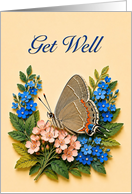 Get Well Hairstreak Butterfly Among Blue and Peach Flowers